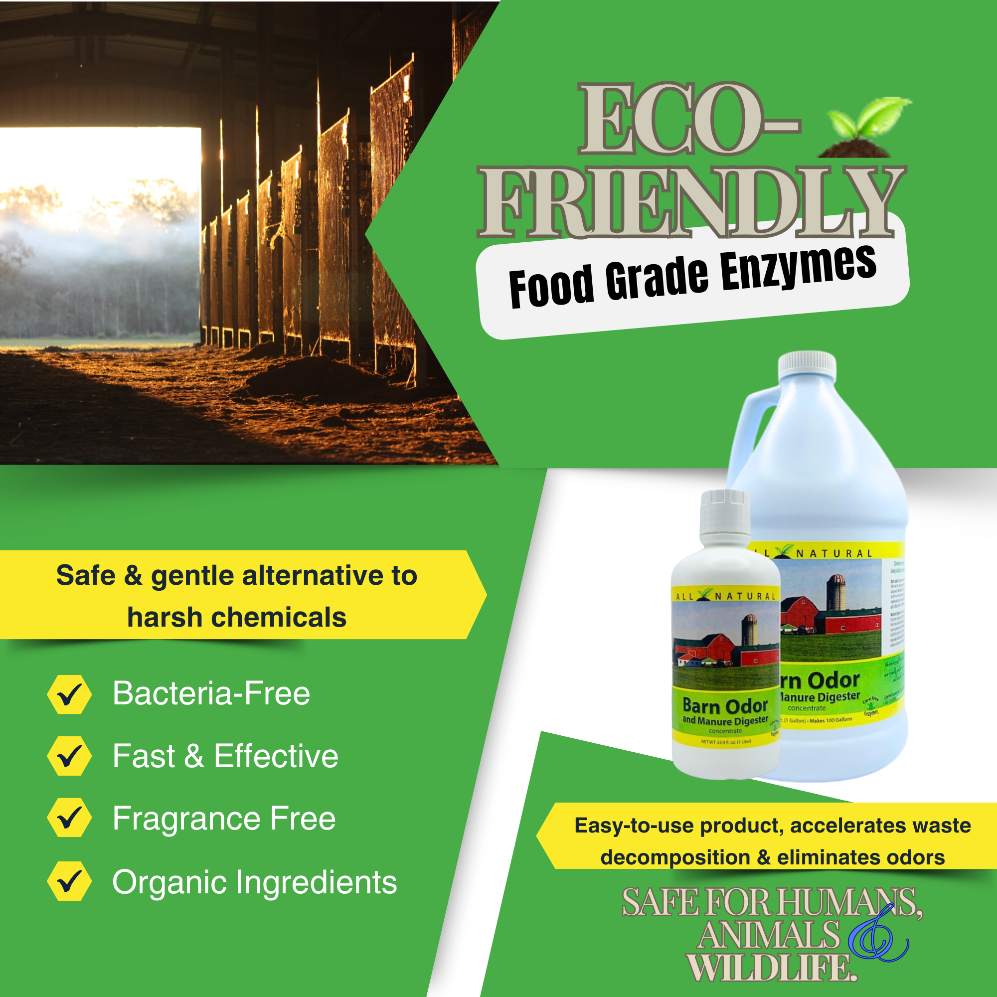 Concentrated Barn Deodorizer & Manure Digester | Ammonia Control for Livestock Stalls | 33.9 oz & 1 Gallon