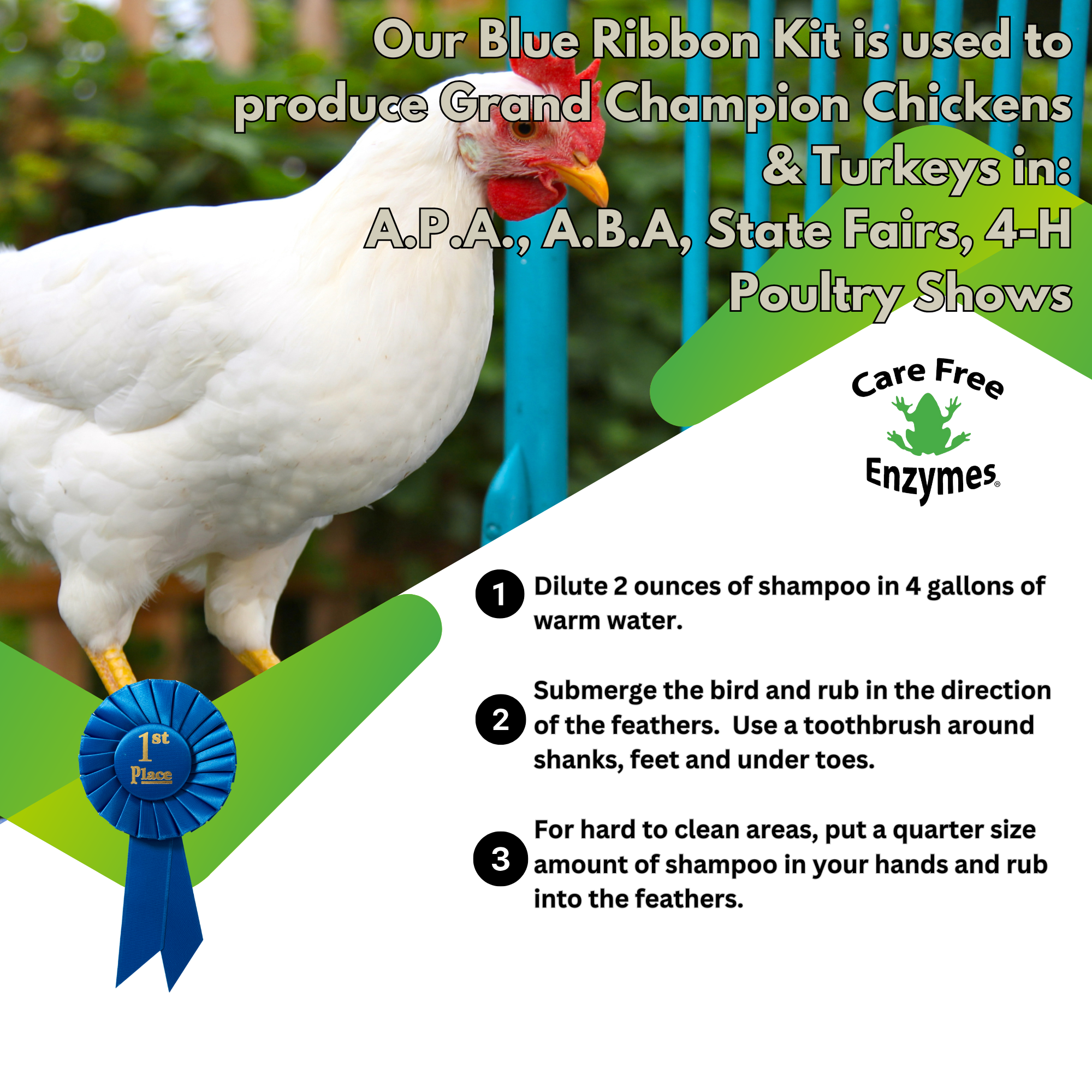 Gentle Poultry Shampoo for Show Chickens | Cleans & Conditions Feathers | 16 oz