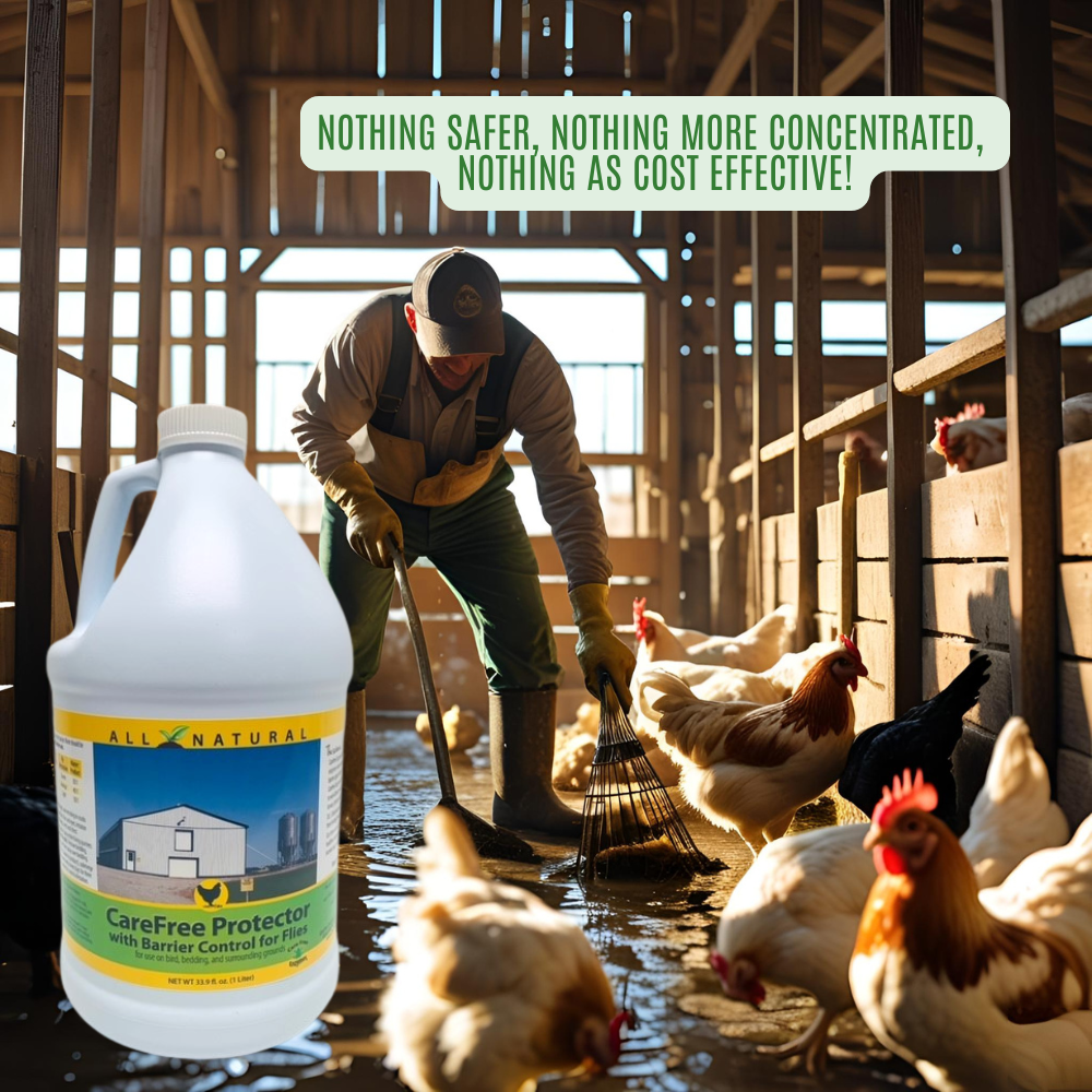 Fly Repellent Barrier Spray Concentrate | Makes Over 30 Gallons | For Horses & Livestock | 1 Gallon