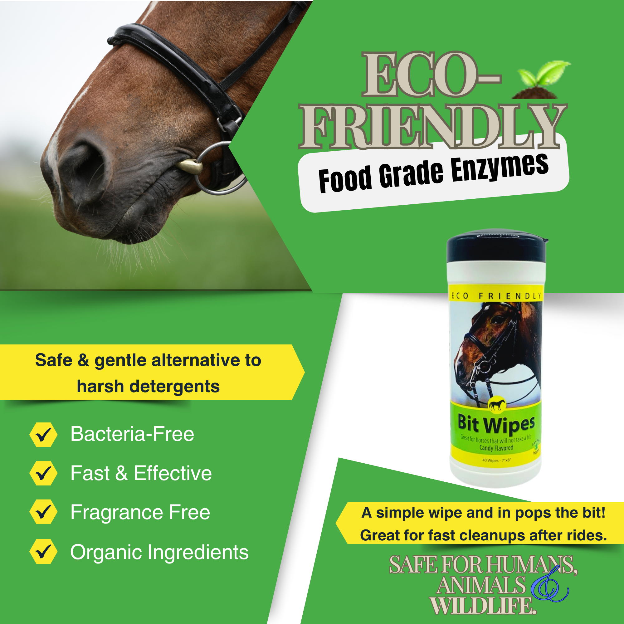 Natural Horse Bit Wipes with Peppermint Oil | Cleans & Polishes Bits | 40 Count