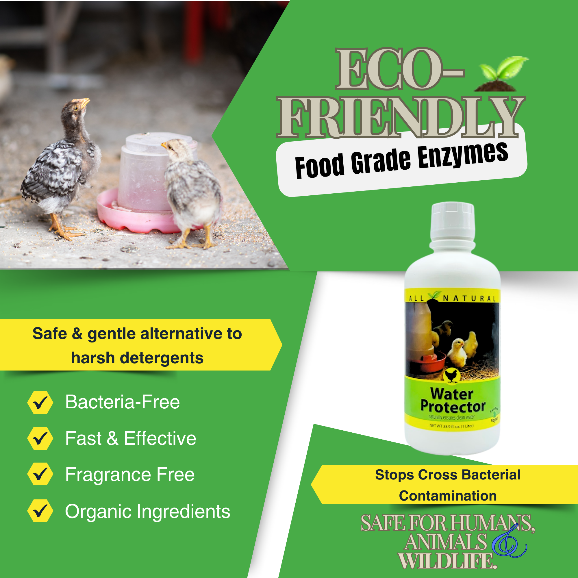 Natural Poultry Water Protector | Keeps Drinkers Clean & Slime-Free | 16 oz, 33.9 oz & 1 Gallon