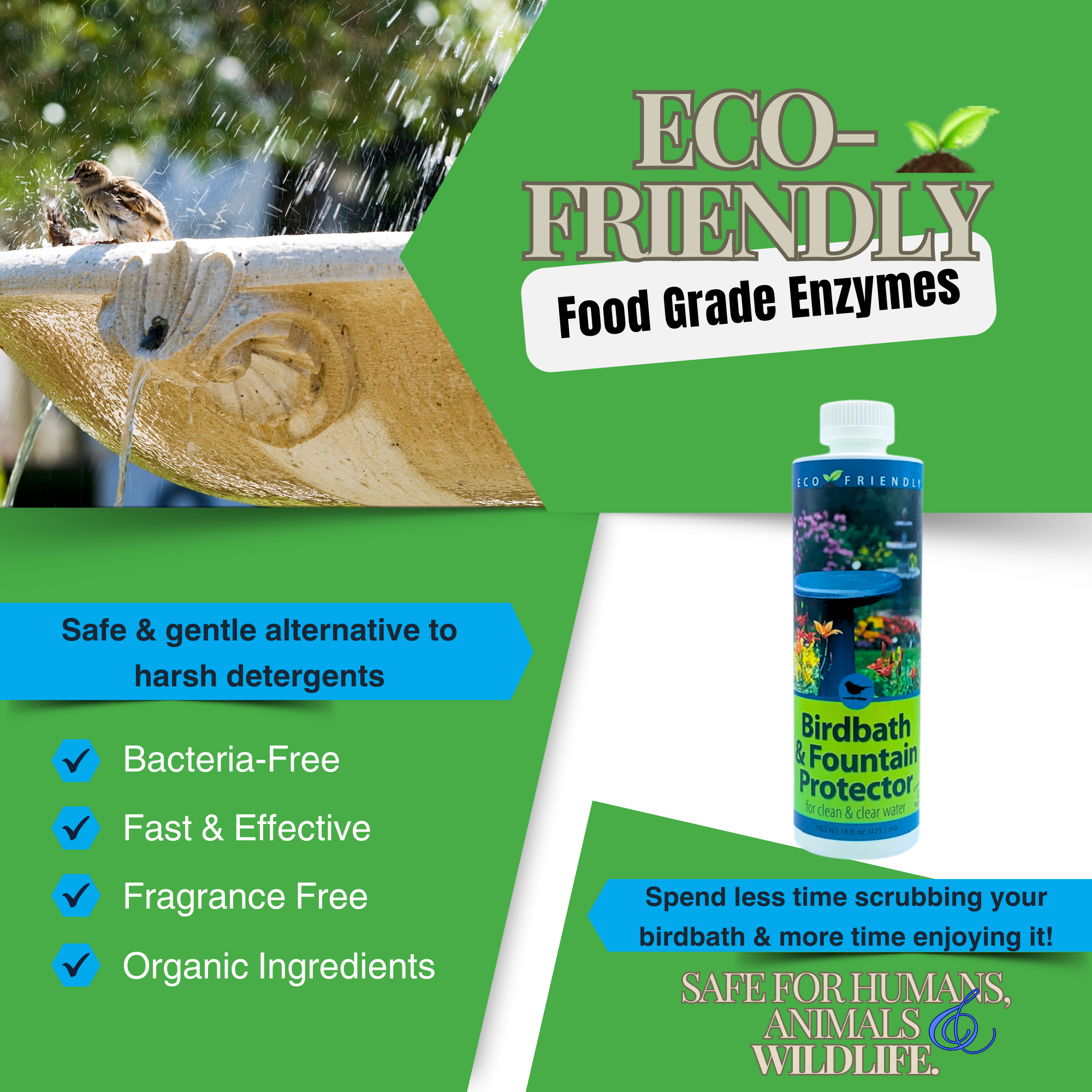 Natural Bird Bath & Fountain Protector | Keeps Water Clear & Slime-Free | 8 oz & 16 oz