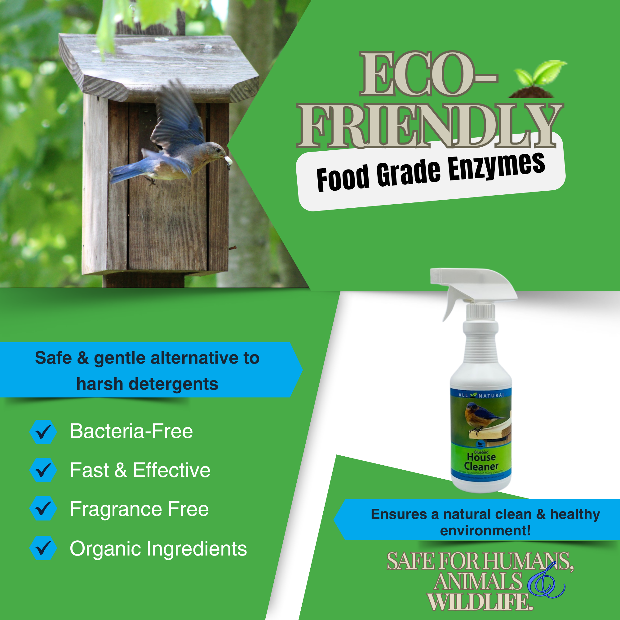 Natural Bluebird House Protector Spray | Deters Wasps & Pests Safely | 16 oz