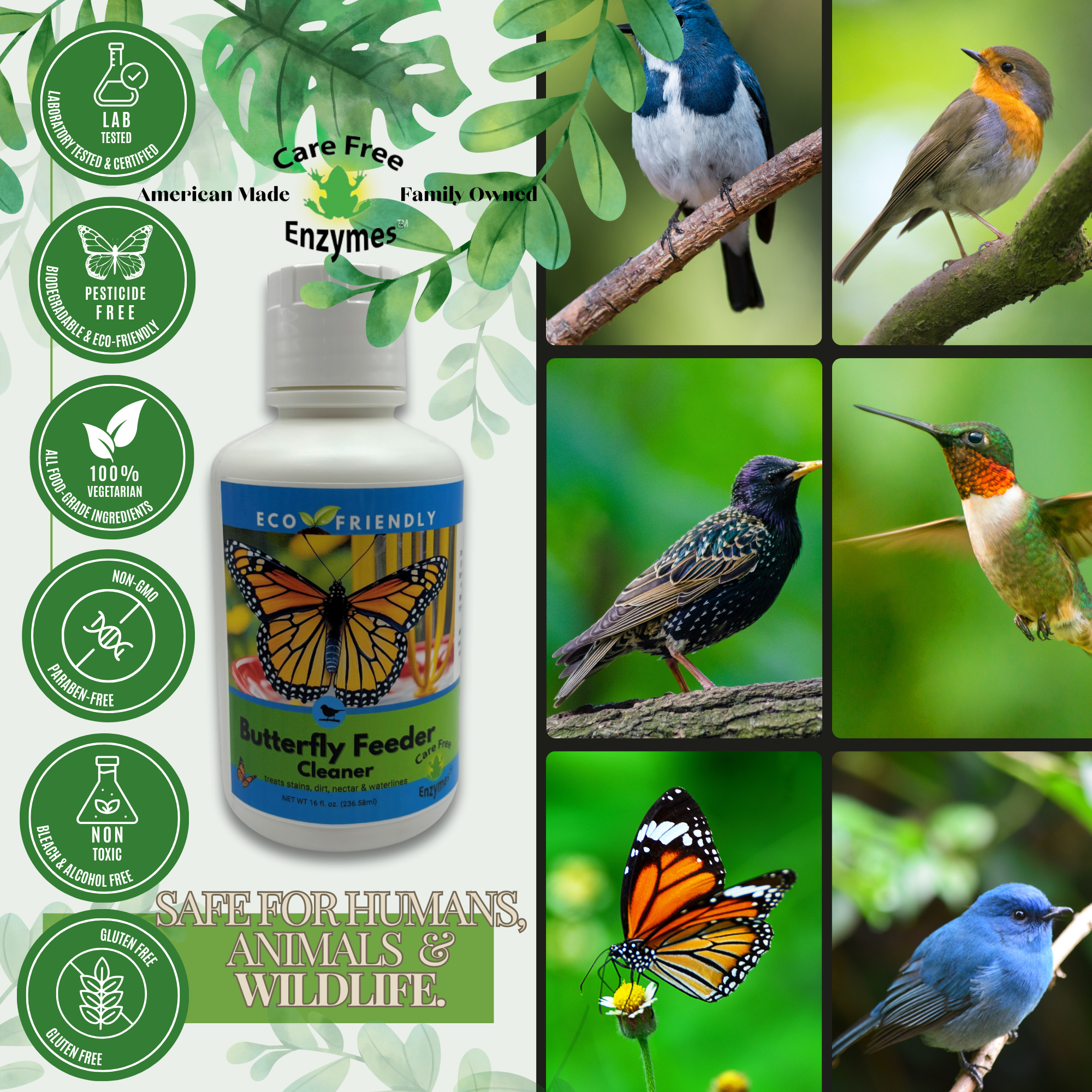 Natural Butterfly Feeder Cleaner | Cleans Sponges, Wicks & Trays Safely | 16 oz