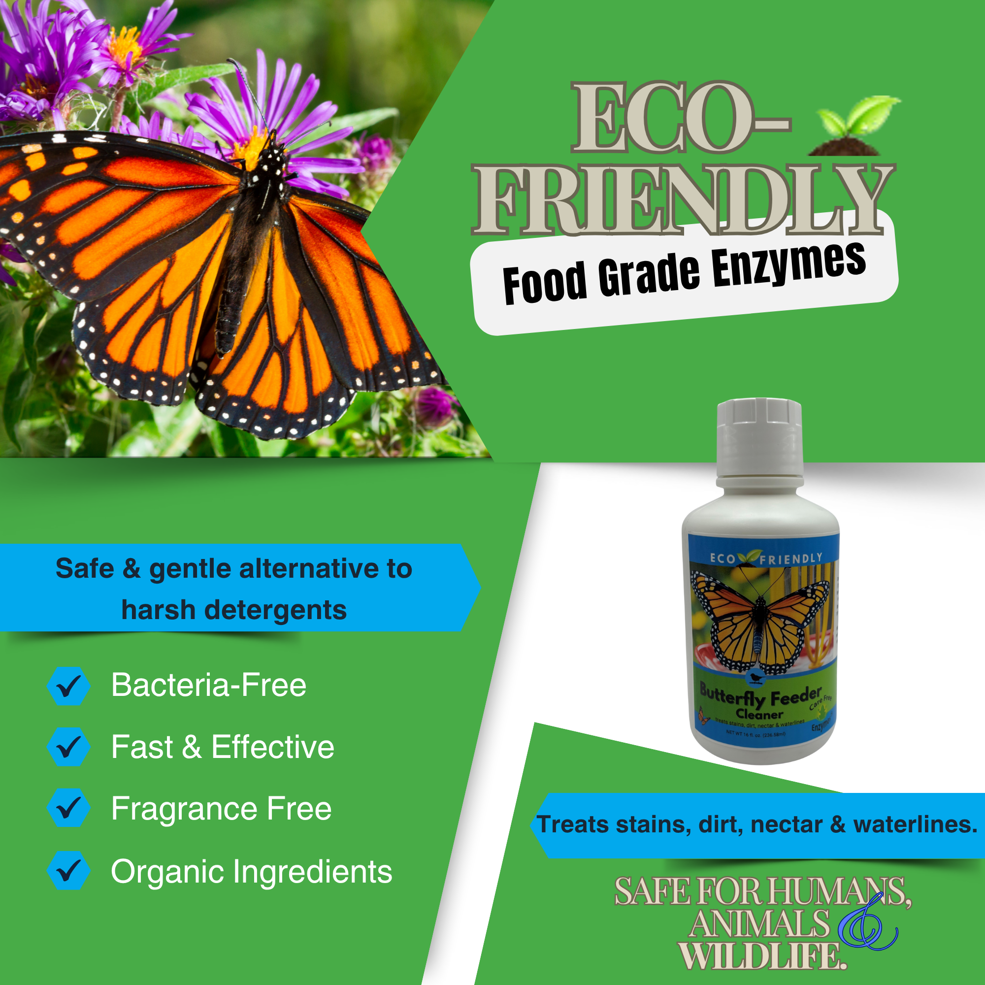 Natural Butterfly Feeder Cleaner | Cleans Sponges, Wicks & Trays Safely | 16 oz