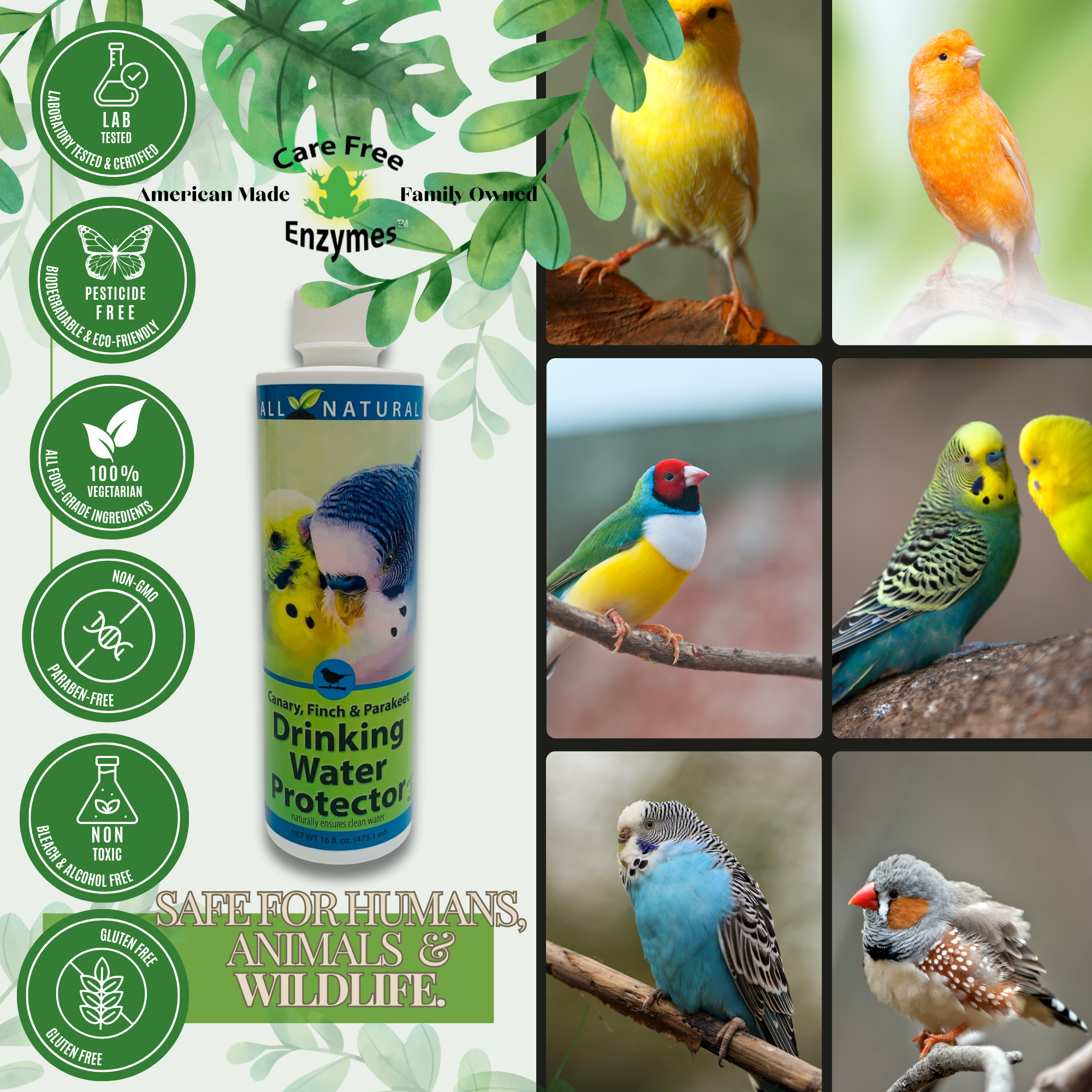 Pet Bird Drinking Water Protector | Keeps Water Fresh & Slime-Free | 16 oz & 33.9 oz