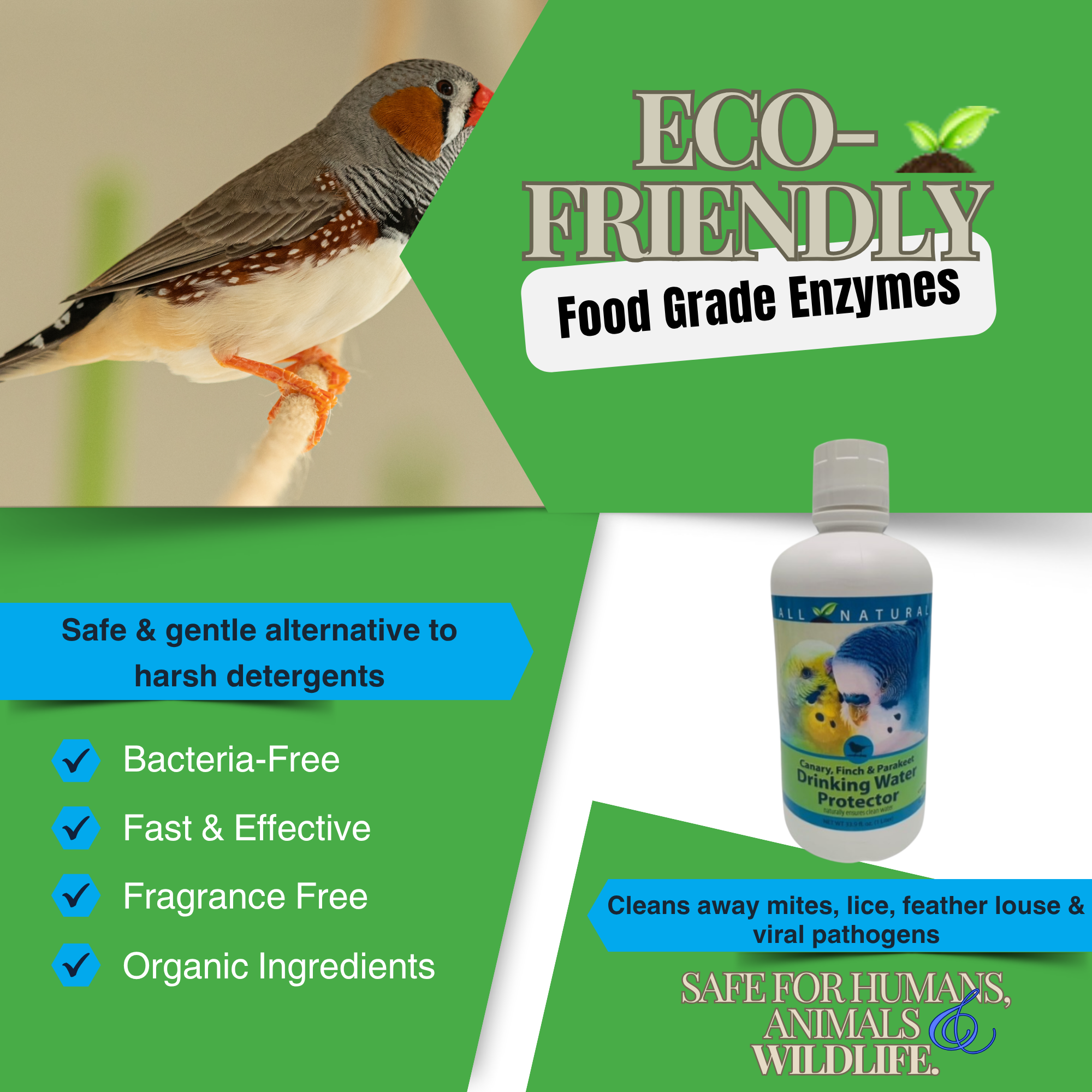 Pet Bird Drinking Water Protector | Keeps Water Fresh & Slime-Free | 16 oz & 33.9 oz