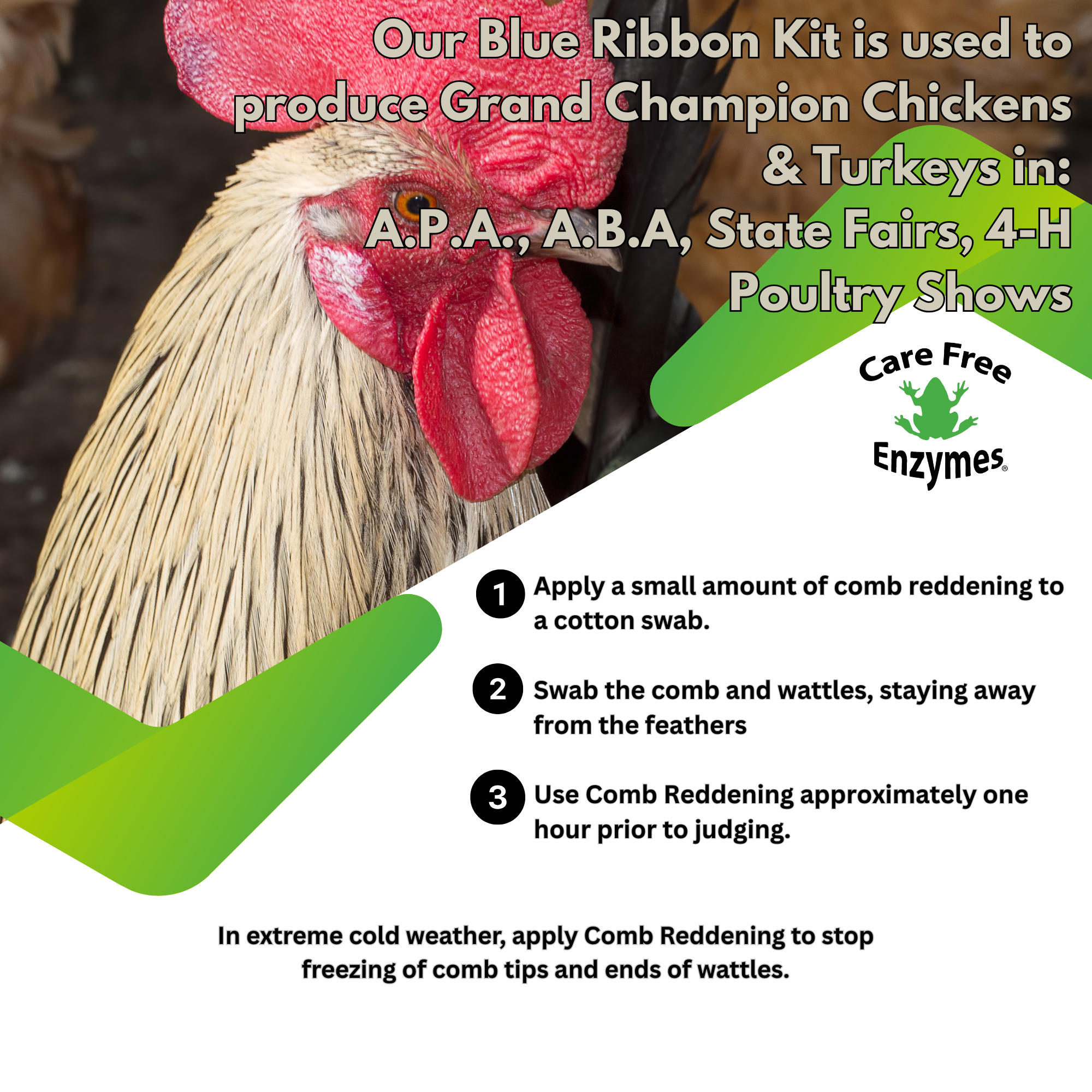 Comb & Wattle Reddening Ointment for Show Chickens | Enhances Natural Color | 2.5 oz