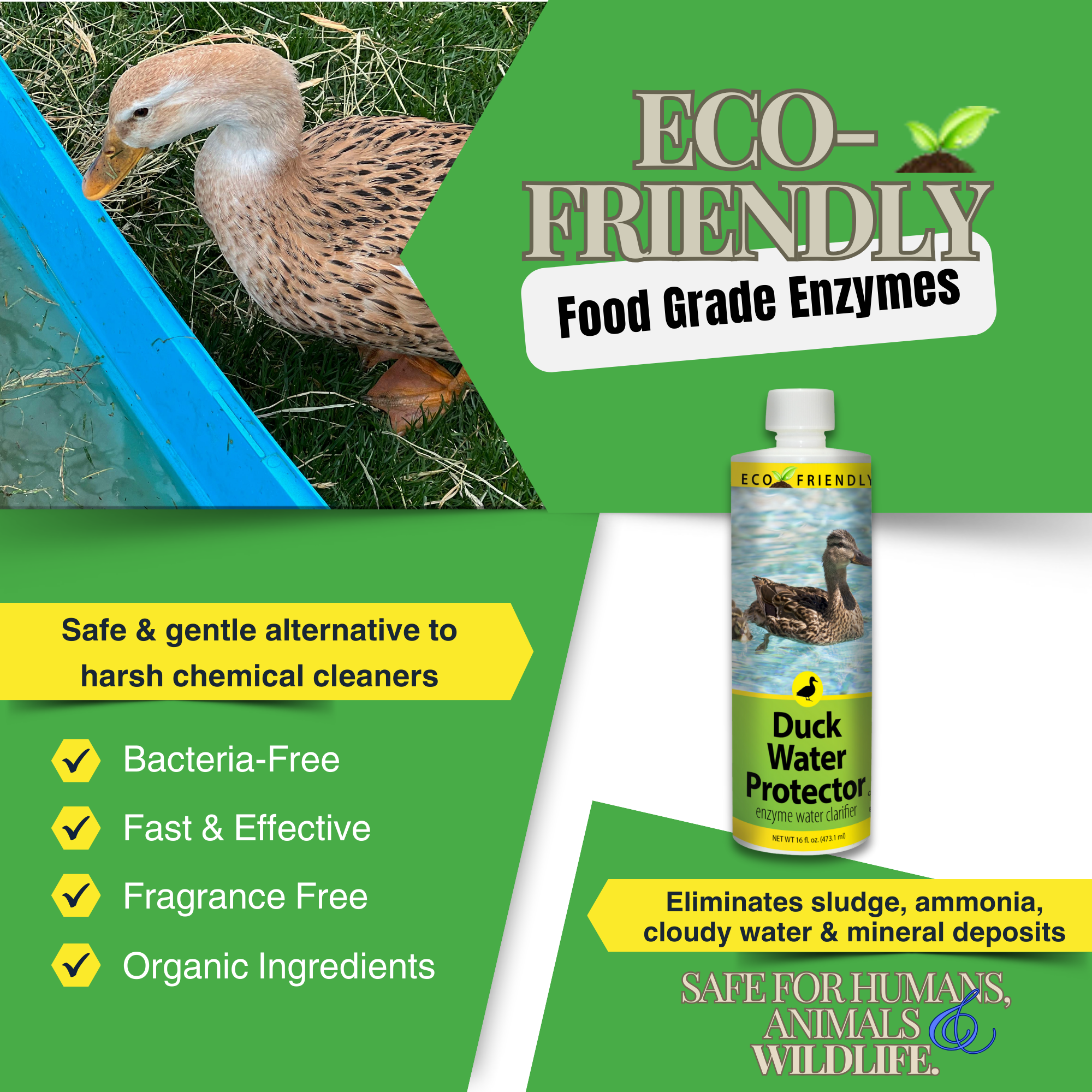 Natural Duck Pond Water Treatment | Clears Water & Reduces Sludge | Duck Pond Water Protector | 16 oz