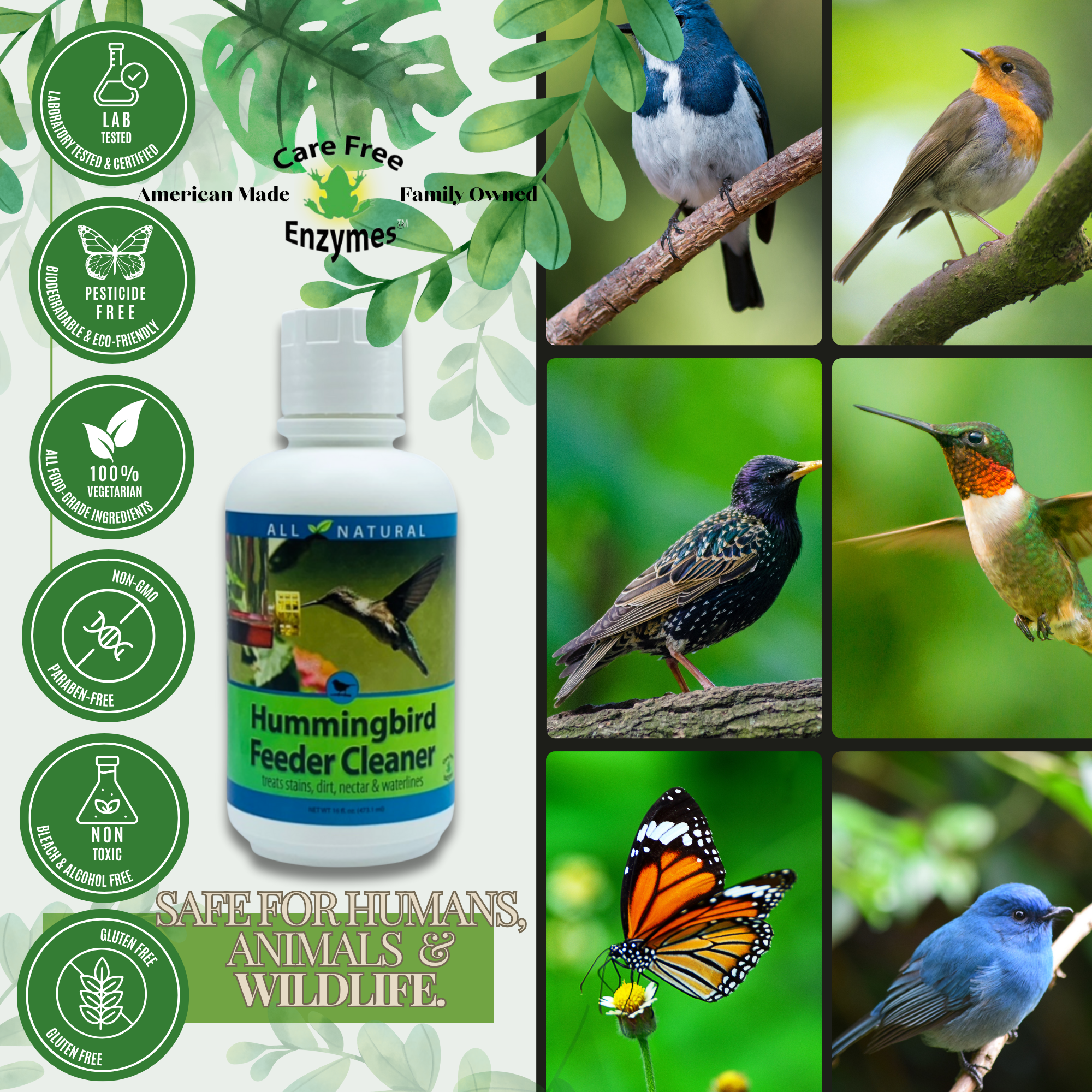 Natural Hummingbird Feeder Cleaner | Removes Nectar Mold Safely | 16 oz