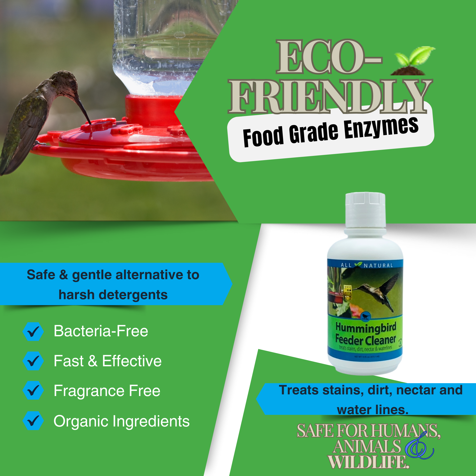Natural Hummingbird Feeder Cleaner | Removes Nectar Mold Safely | 16 oz