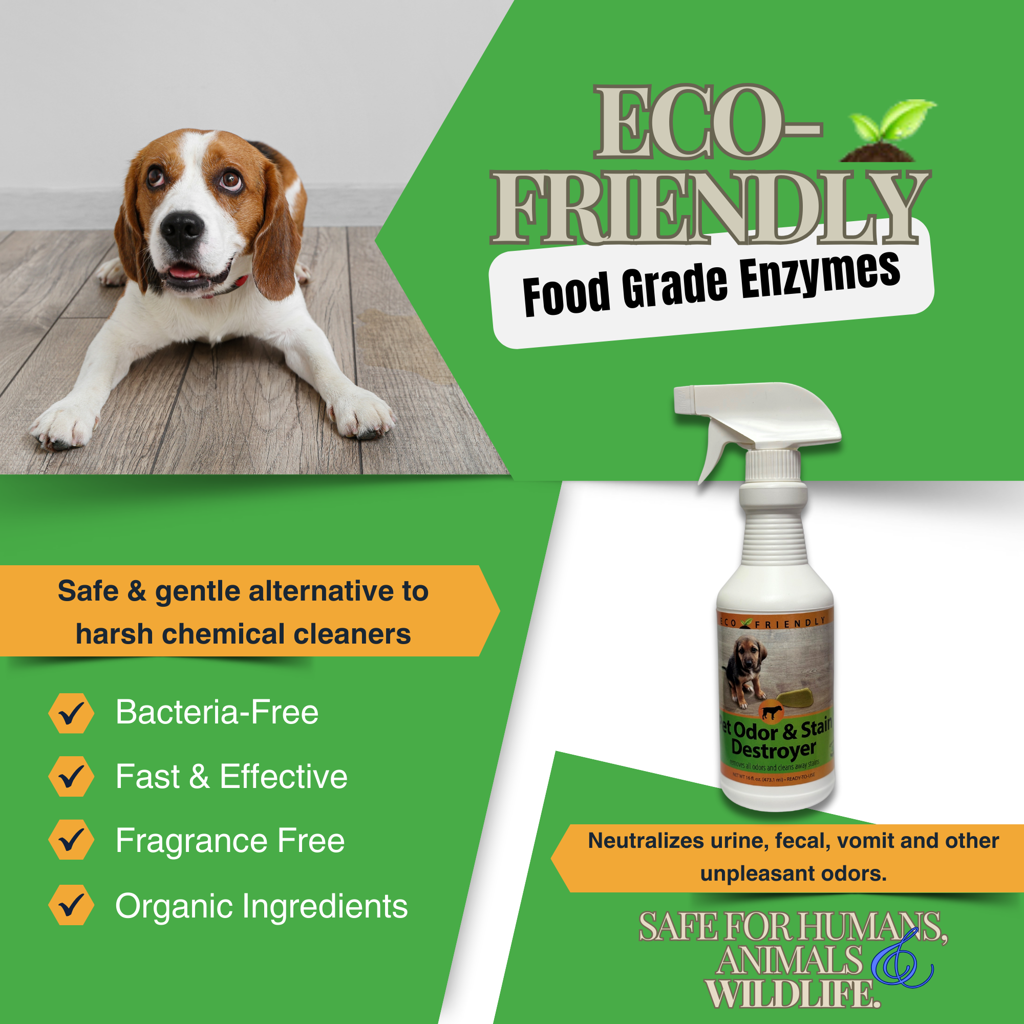 Enzyme Cleaner for Pet Stains & Odors | Urine & Stain Destroyer Spray | 16 oz & 33.9 oz