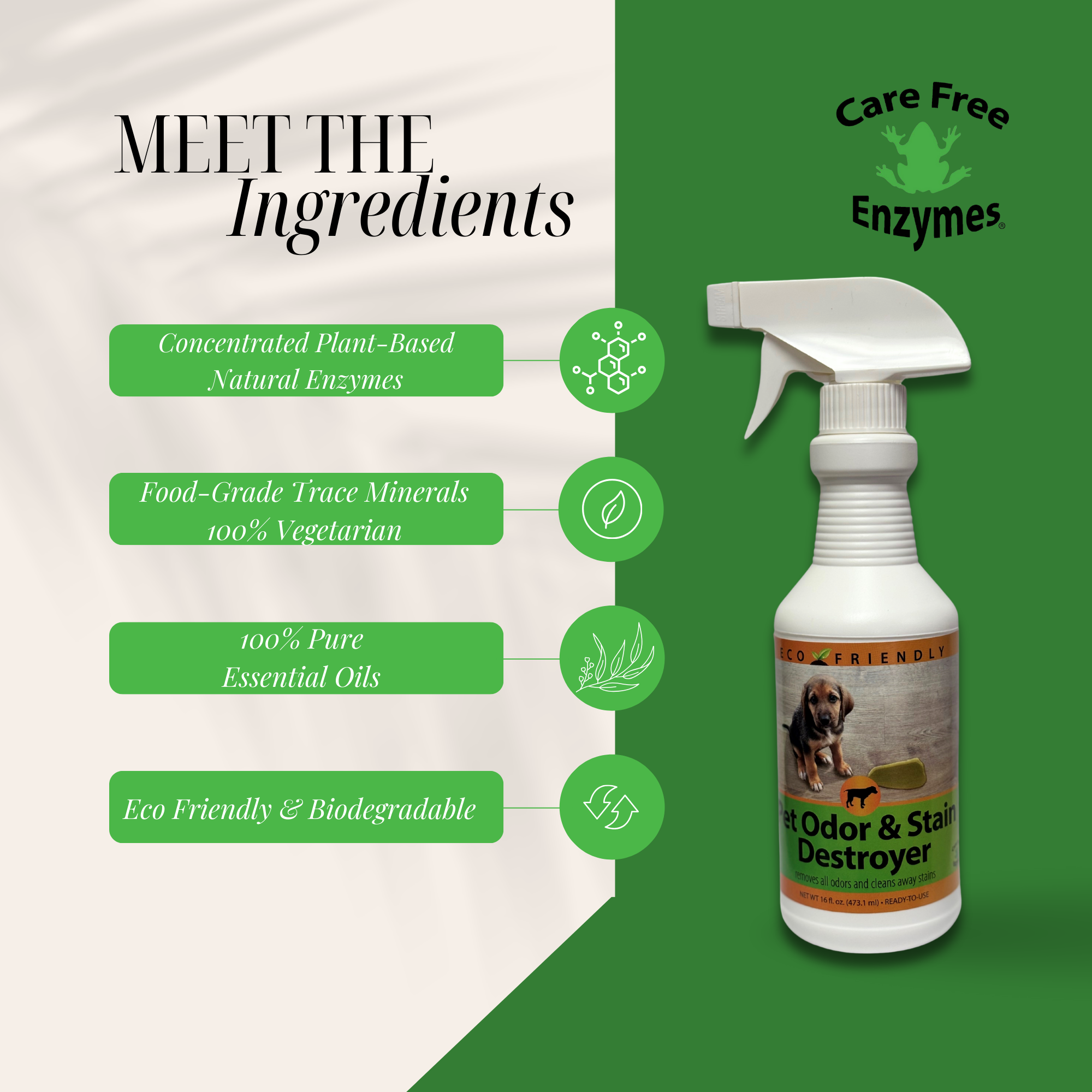 Enzyme Cleaner for Pet Stains & Odors | Urine & Stain Destroyer Spray | 16 oz & 33.9 oz