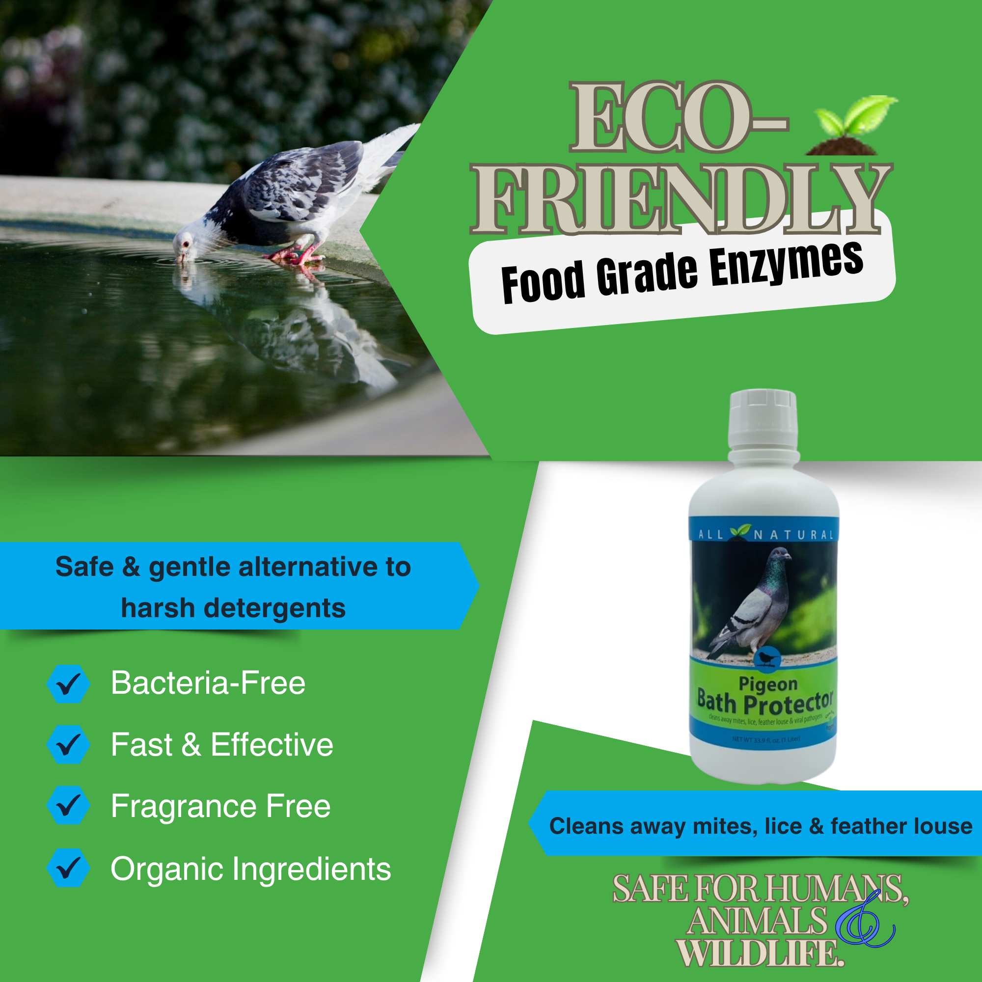 Pigeon Bath Protector & Feather Conditioner | For Show & Racing Pigeons | 16 oz & 33.9 oz