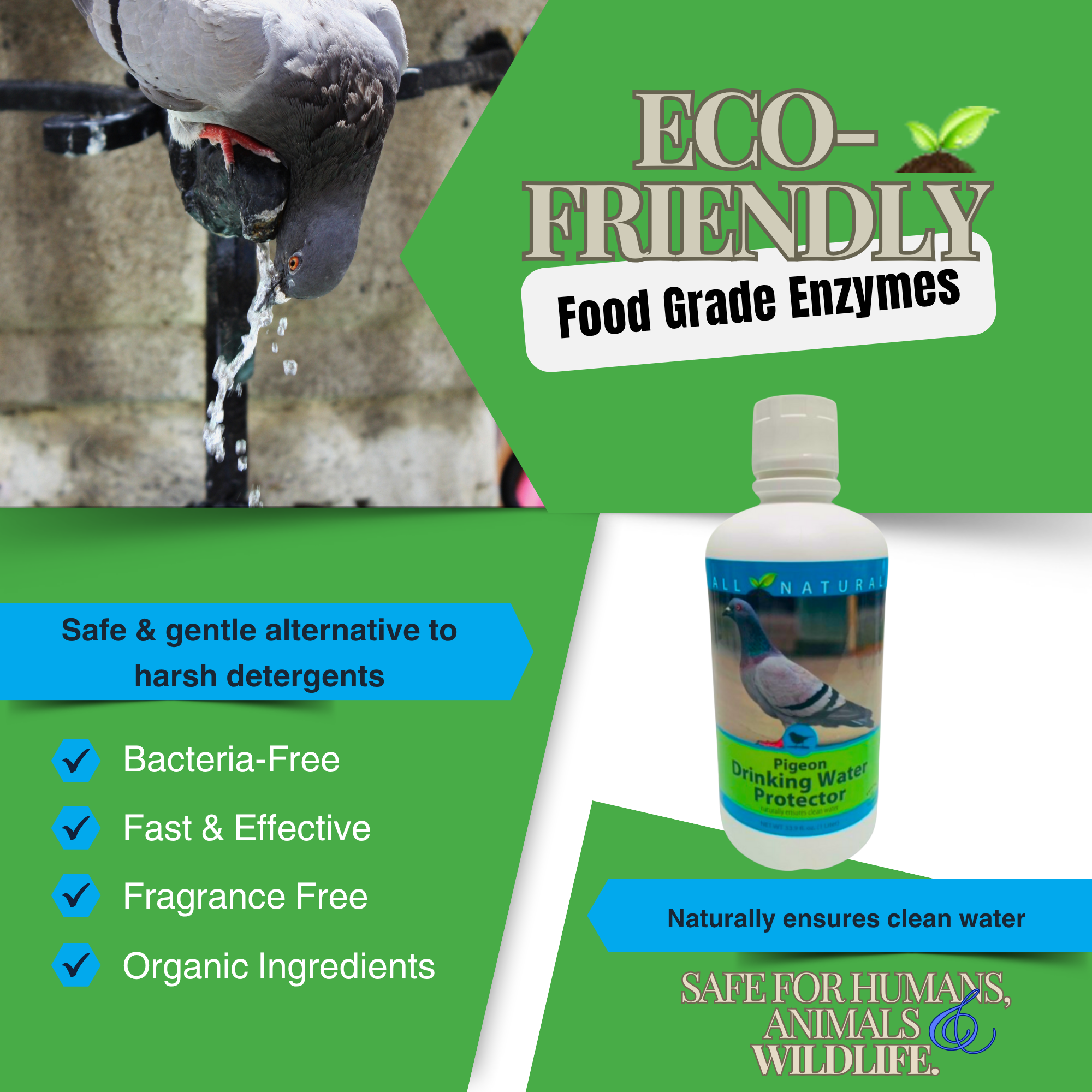 Pigeon Drinking Water Protector | Keeps Water Fresh & Slime-Free | 16 oz & 33.9 oz