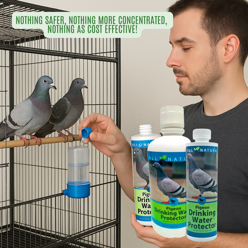 Pigeon Drinking Water Protector | Keeps Water Fresh & Slime-Free | 16 oz & 33.9 oz