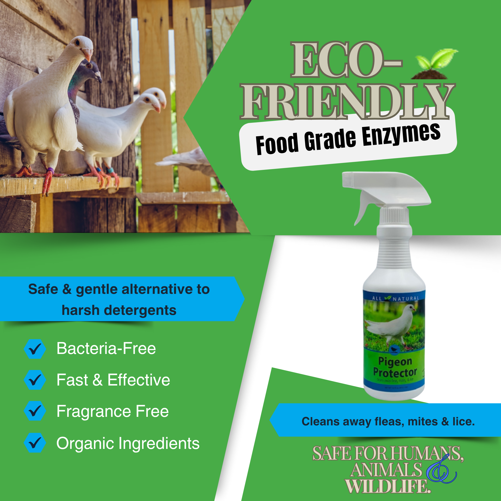 Mite & Lice Spray for Pigeons & Lofts | Pigeon Protector | 16 oz