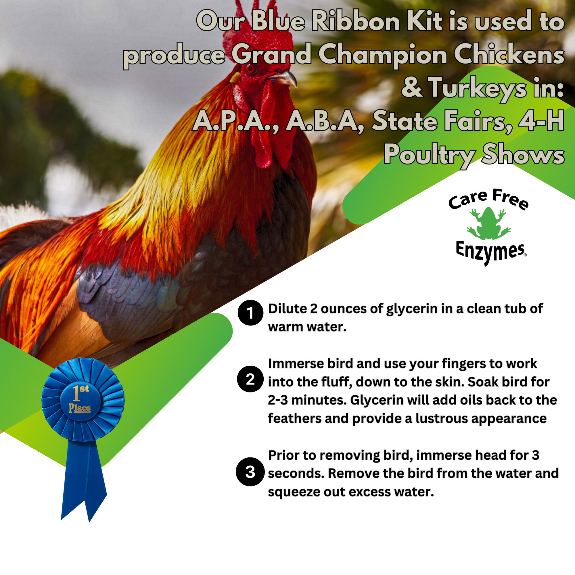 Show Chicken Grooming Glycerin | Conditions Comb, Wattles & Legs | 16 oz