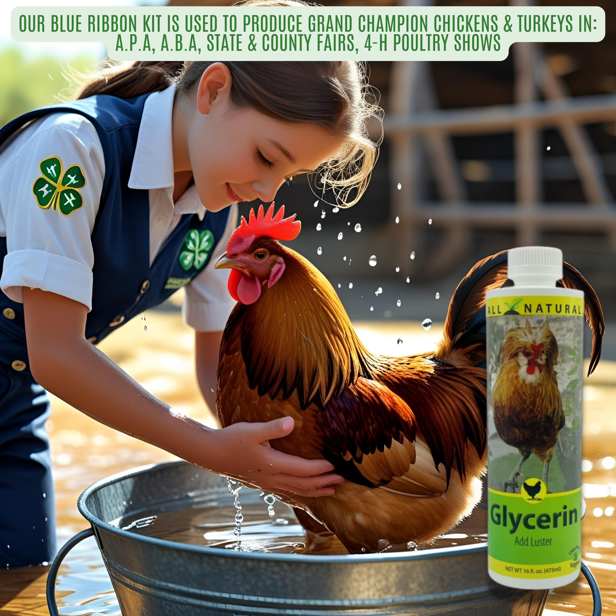 Show Chicken Grooming Glycerin | Conditions Comb, Wattles & Legs | 16 oz