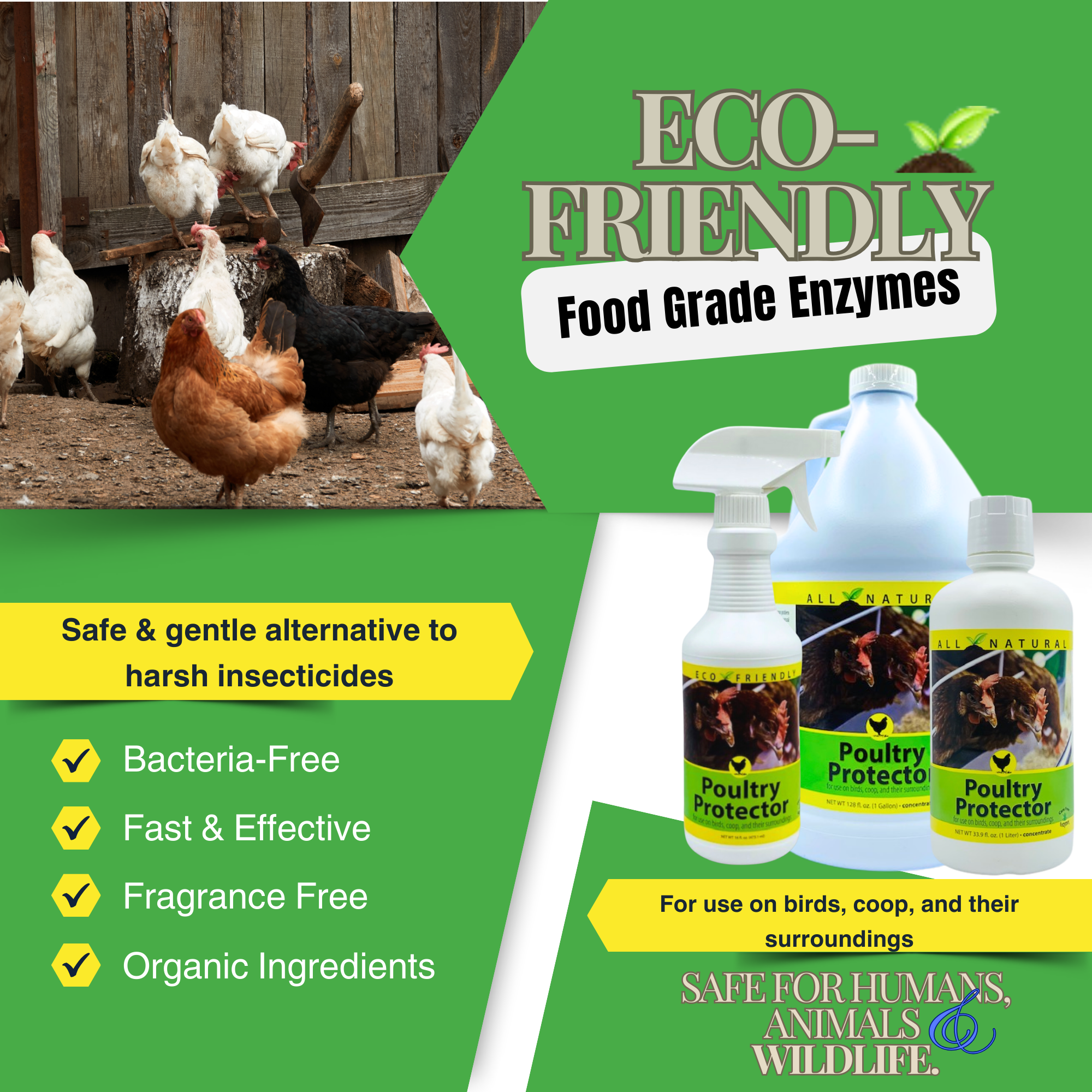 Natural Mite & Parasite Spray for Chickens | Poultry Protector | 16 oz, 33.9 oz & 1 Gallon