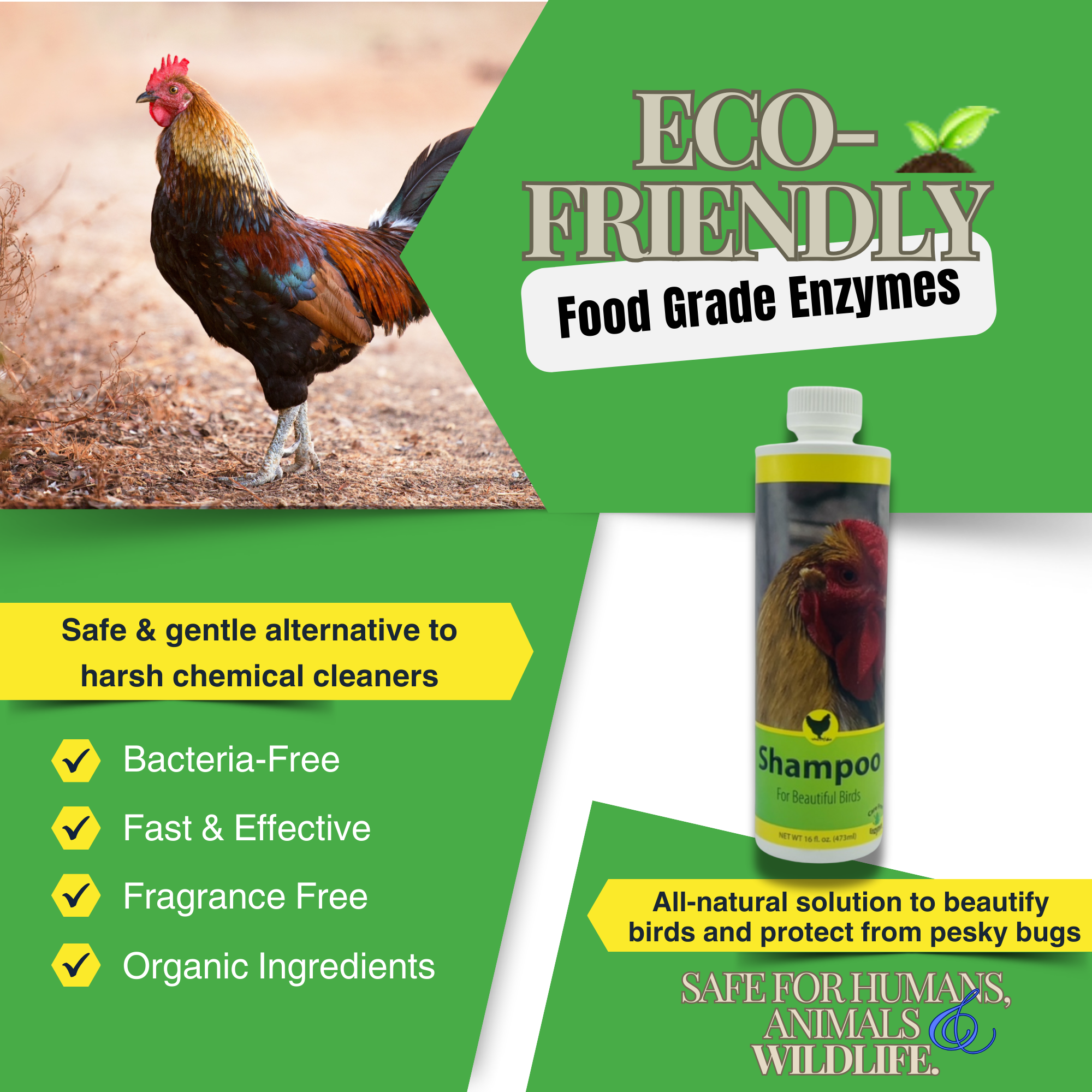 Gentle Poultry Shampoo for Show Chickens | Cleans & Conditions Feathers | 16 oz