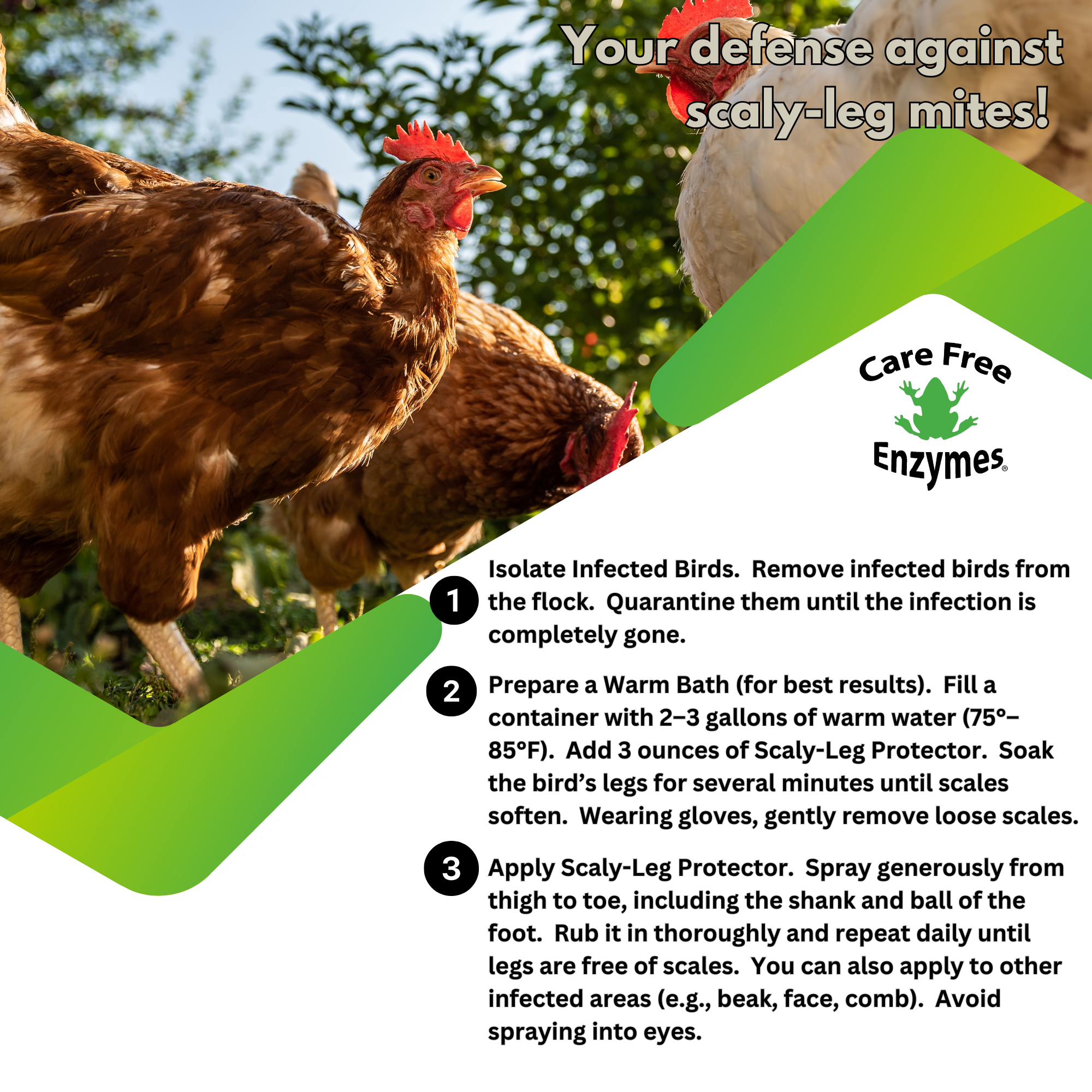 Natural Scaly Leg Mite Treatment for Chickens | Scaly-Leg Protector | 16 oz & 1 Gallon