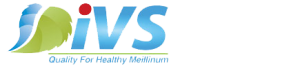 iVS Logo