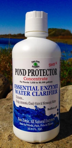 Pond Protector Concentrate